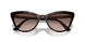 2AU6S1 - Havana - Brown Gradient