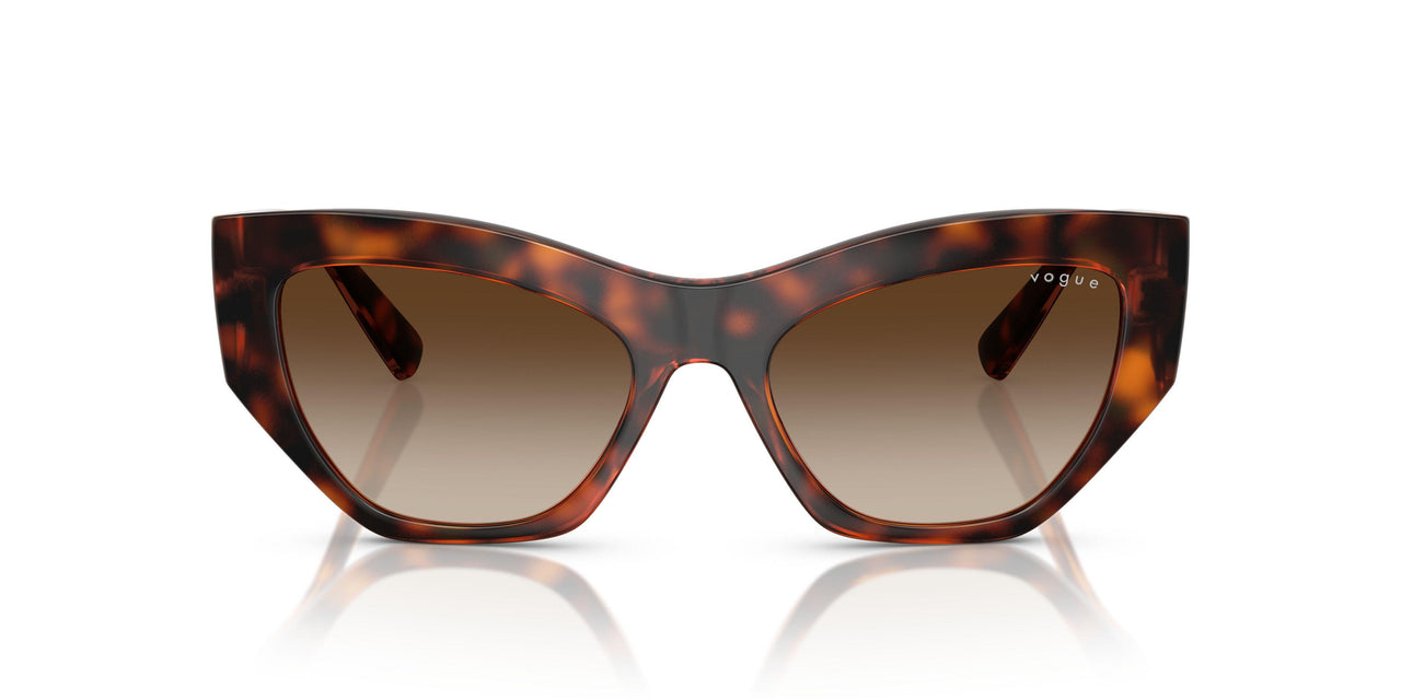 W65613 - Brown - Gradient Dark Brown