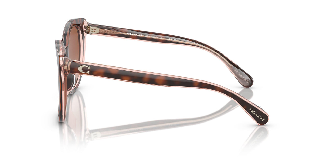 574413 - Tortoise - Brown Pink Gradient