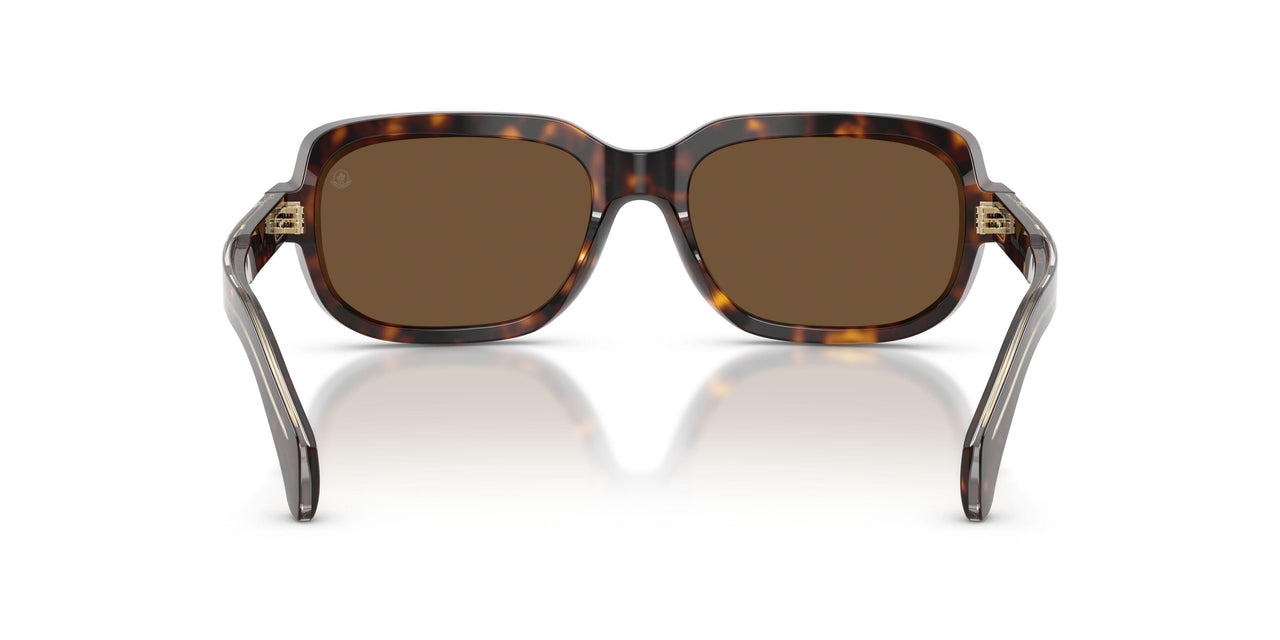 300273 - Tortoise - Brown Solid