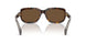 300273 - Tortoise - Brown Solid