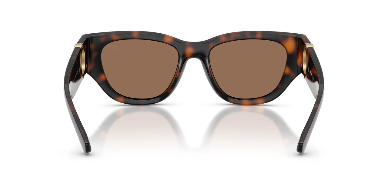 300273 - Brown - Dark Brown