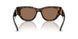 300273 - Brown - Dark Brown