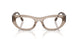 3181 - Brown