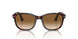 24/51 - Tortoise - Clear Gradient Brown