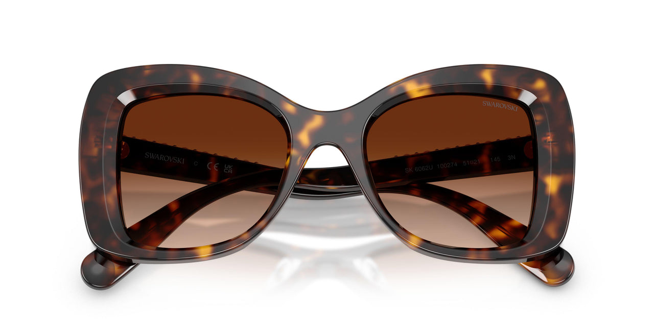 100274 - Tortoise - Gradient Brown