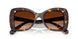 100274 - Tortoise - Gradient Brown