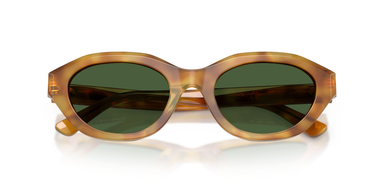 618571 - Tortoise - Dark Green