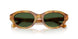 618571 - Tortoise - Dark Green
