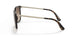 W65613 - Havana - Brown Gradient