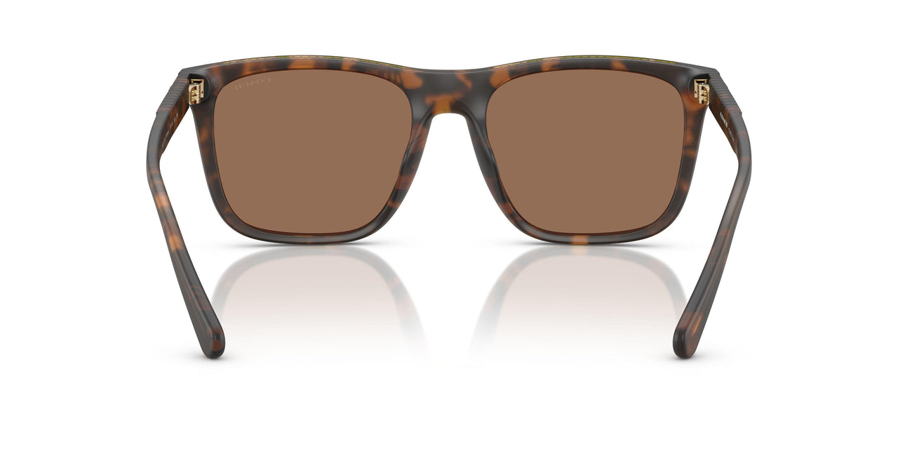 512073 - Tortoise - Brown Solid