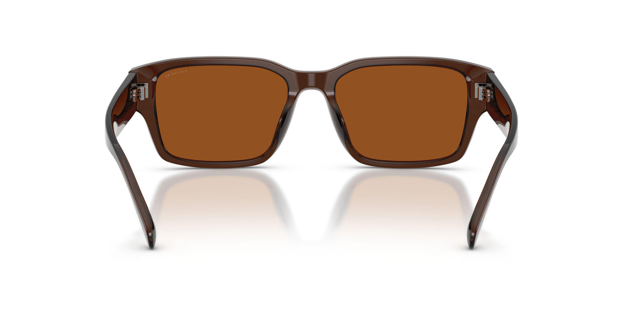 591173 - Brown - Brown Solid