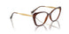 2386 - Brown