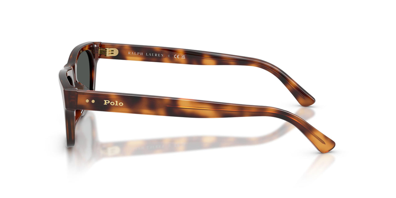 635587 - Brown - Dark Grey
