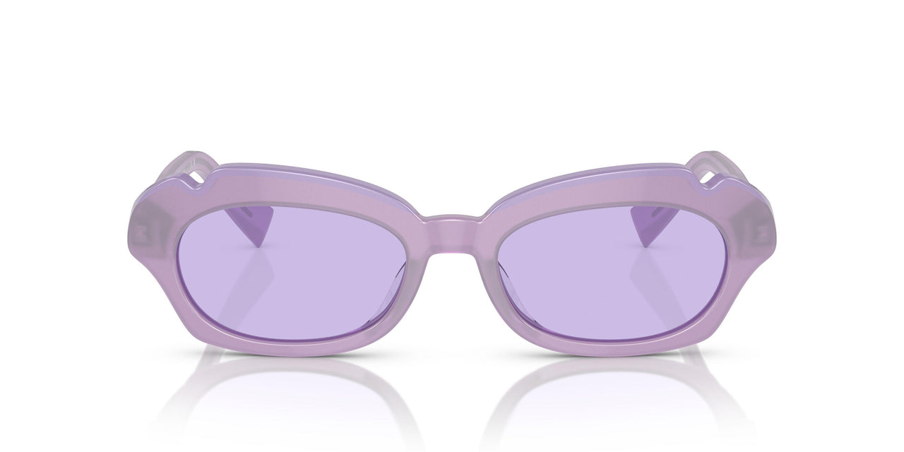 003/1A - Violet - Violet