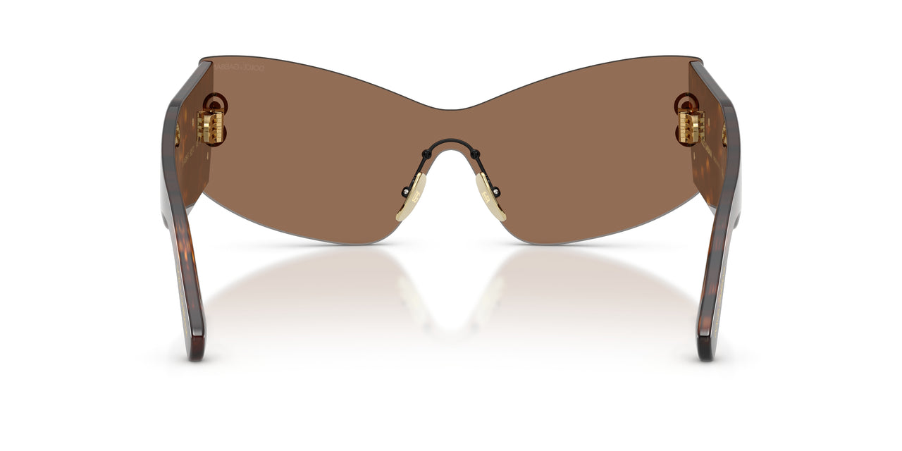 502/73 - Tortoise - Dark Brown