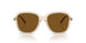 299083 - Brown - Dark Brown Polar
