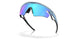 949903 - Blue - Prizm Sapphire Polarized