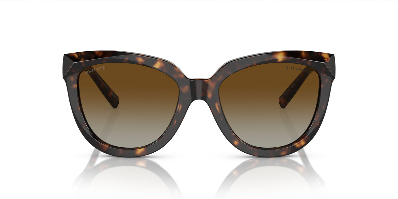 8015T5 - Tortoise - Polar Brown Gradient