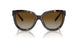 8015T5 - Tortoise - Polar Brown Gradient