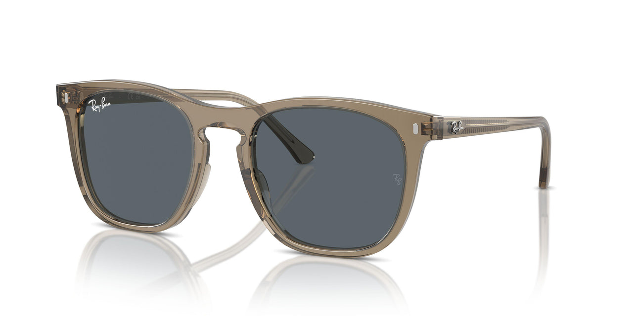6765R5 - Brown - Blue