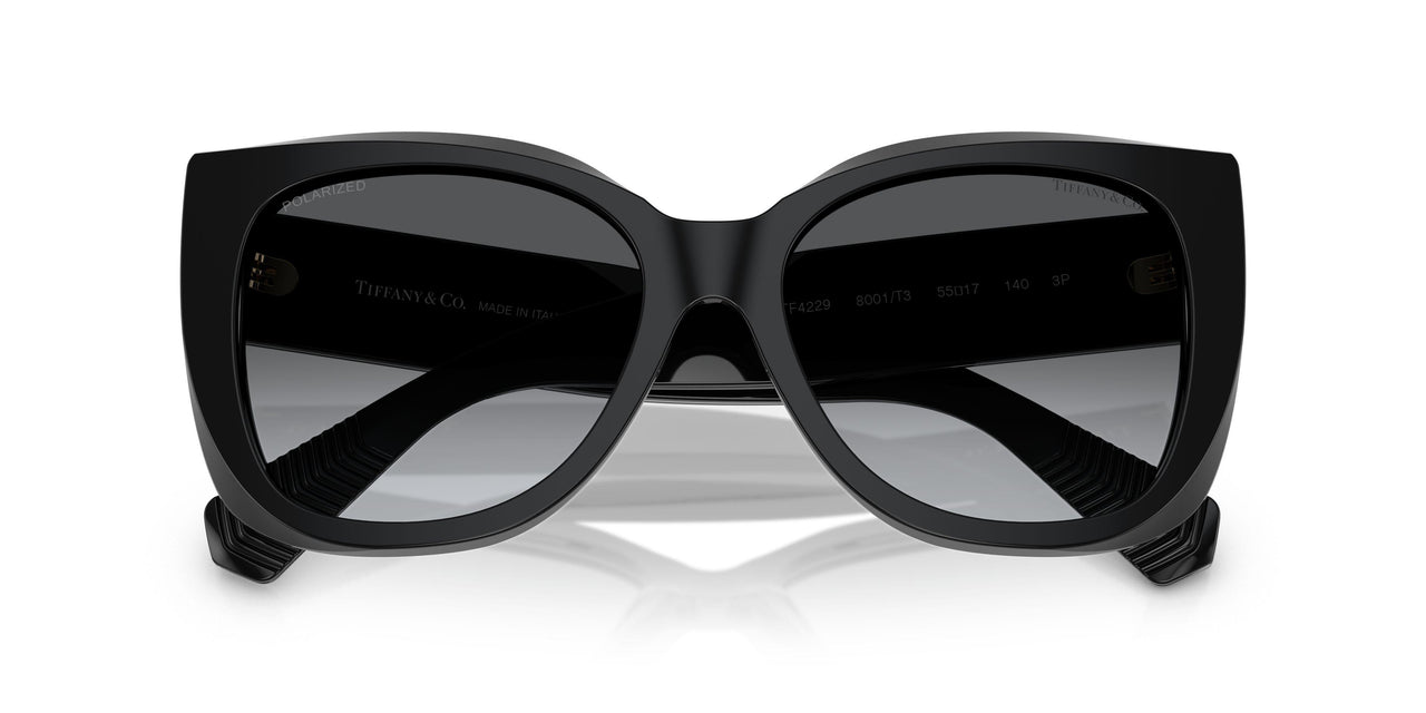 8001T3 - Black - Polar Grey Gradient