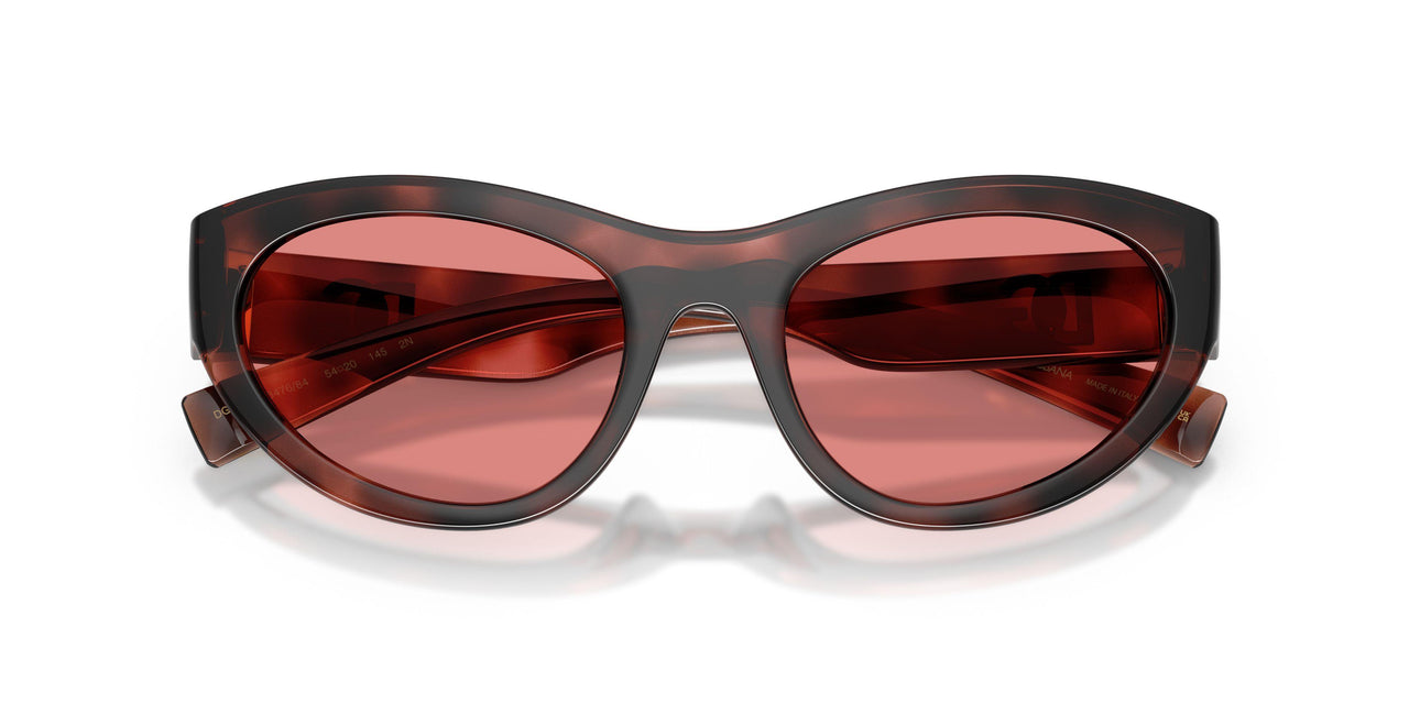 347684 - Tortoise - Pink