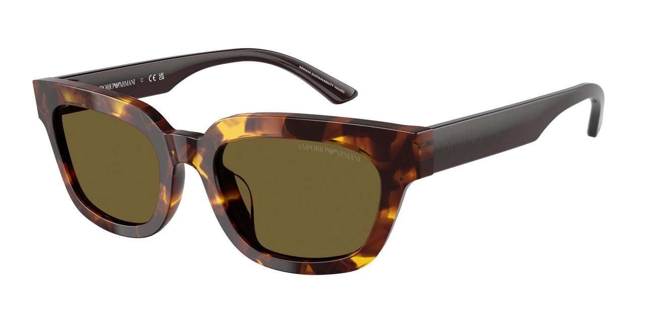 618173 - Tortoise - Dark Brown