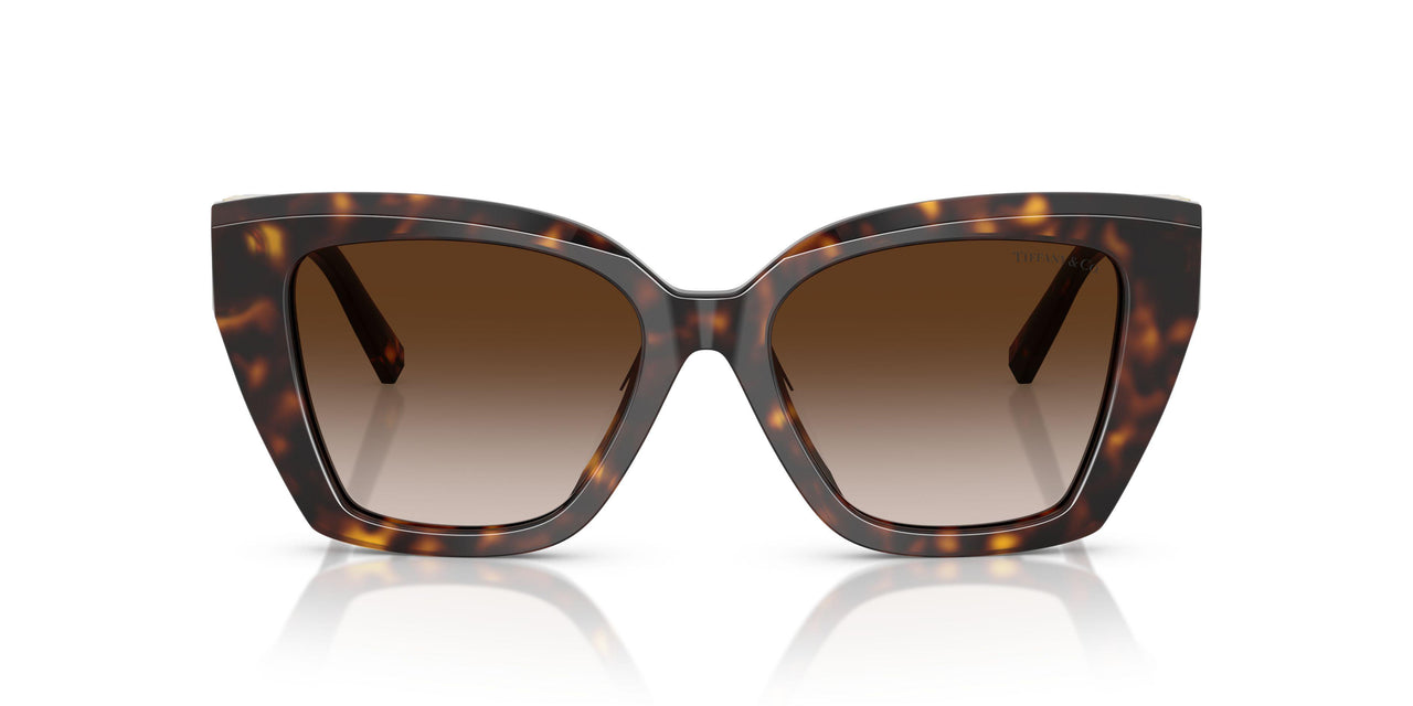 80153B - Tortoise - Brown Gradient