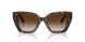 80153B - Tortoise - Brown Gradient