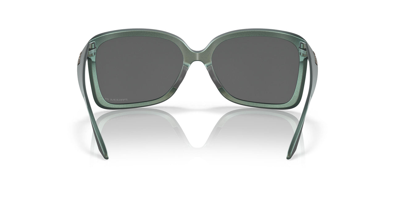 923005 - Blue - Prizm Black Polarized