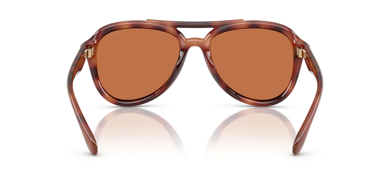 577473 - Tortoise - Brown Solid
