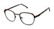 Aeropostale AERO4004 Eyeglasses