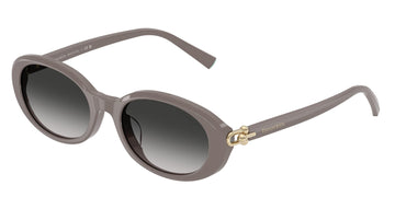 Tiffany 4242D Sunglasses