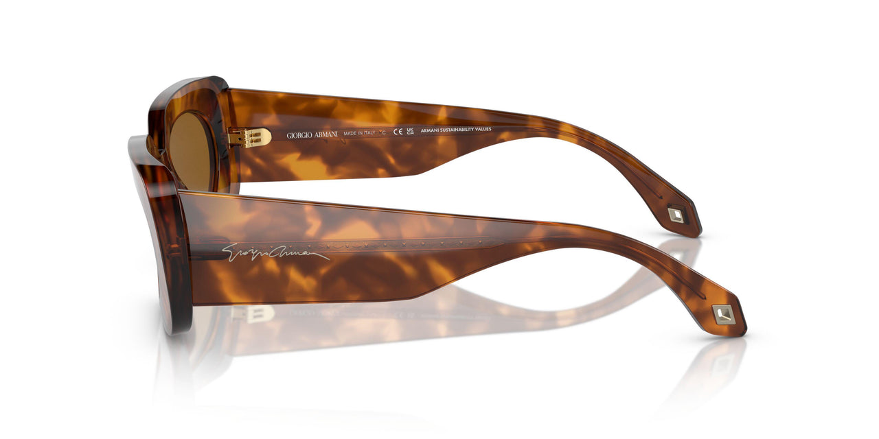 598833 - Red - Brown