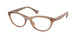 Ralph 7143U Eyeglasses