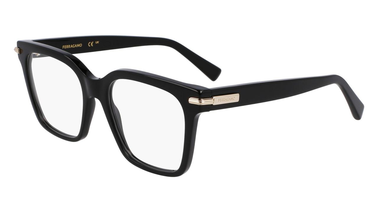 Salvatore Ferragamo SF3009 Eyeglasses