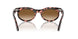 133451 - Pink - Clear & Brown