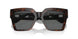 542987 - Tortoise - Dark Grey