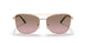 110814 - Pink - Brown Rose Gradient