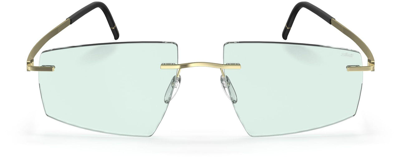 8540 - Champagne / Black - soft mint