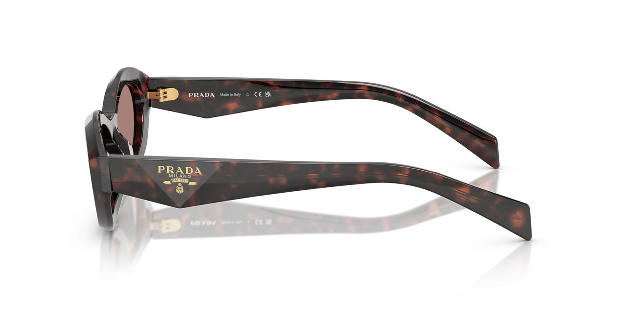 17N60B - Tortoise - Light Brown