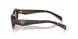 17N60B - Tortoise - Light Brown