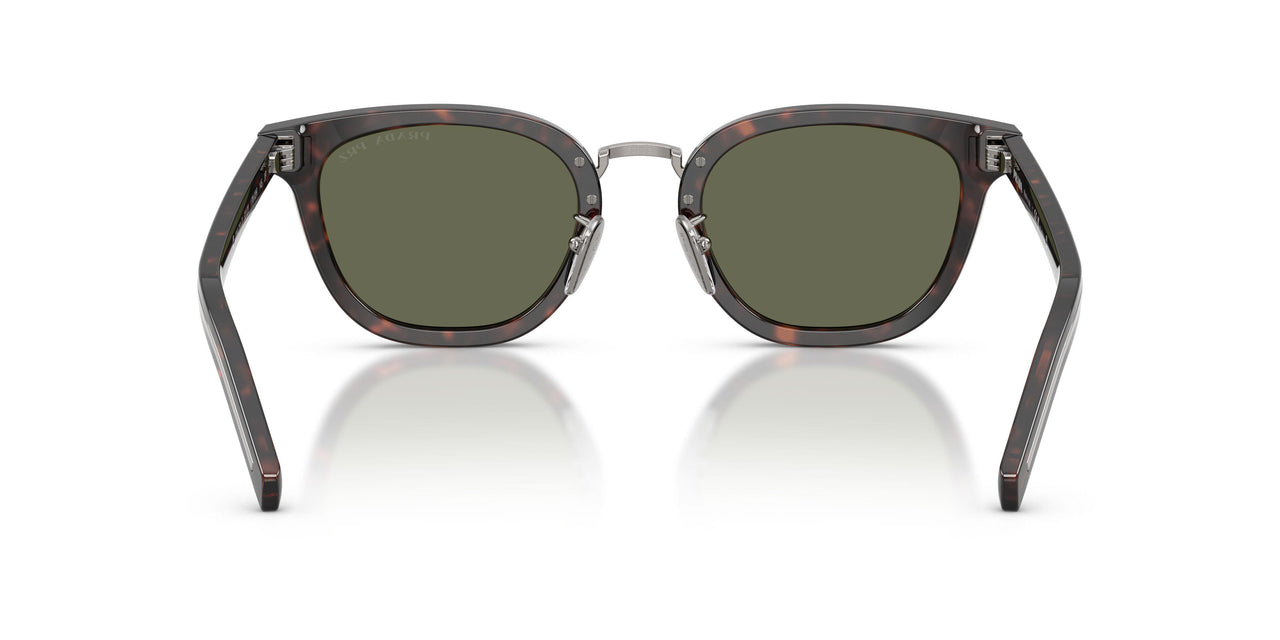 17N03R - Tortoise - Green Polar