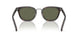 17N03R - Tortoise - Green Polar
