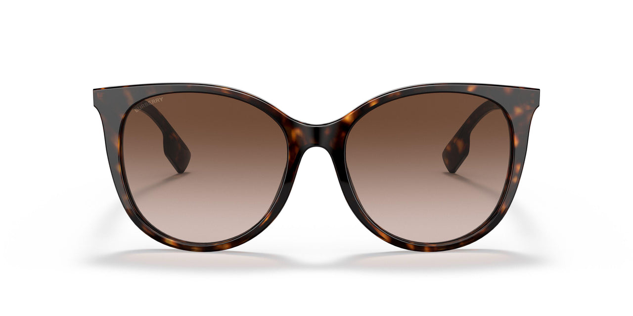 300213 - Havana - Brown Gradient