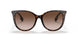 300213 - Havana - Brown Gradient