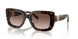 500313 - Tortoise - Gradient Brown