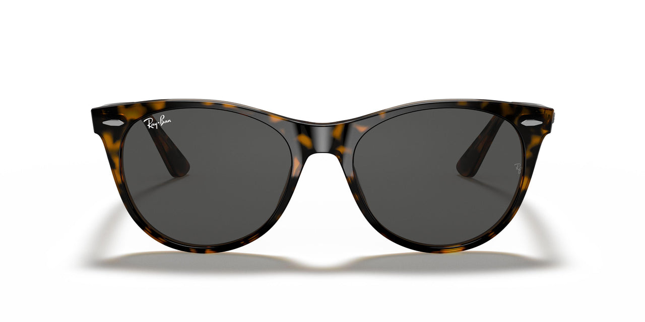 1292B1 - Havana On Trasparent Light Bro - Dark Grey