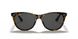 1292B1 - Havana On Trasparent Light Bro - Dark Grey